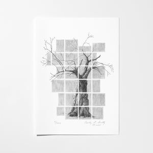 Limited Edition Apple Tree Note Card