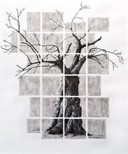 Load image into Gallery viewer, Limited Edition Apple Tree Print
