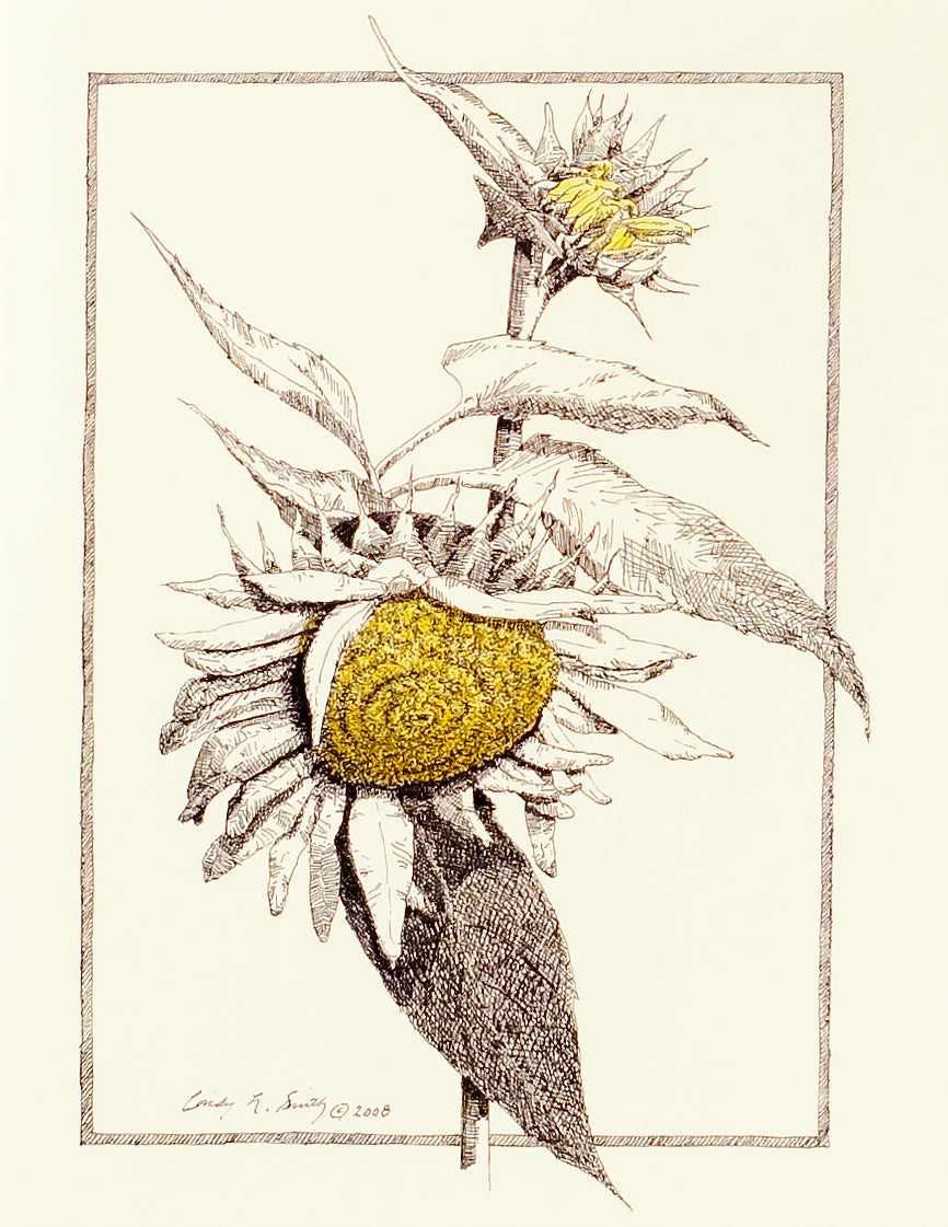 Sunflower Color Notecard Set