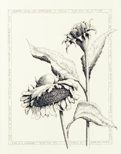 Sunflower Notecard Set